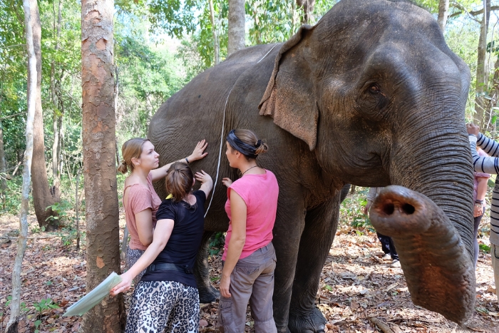 Visite du projet Elephant Valley &agrave;&nbsp;Mondulkiri