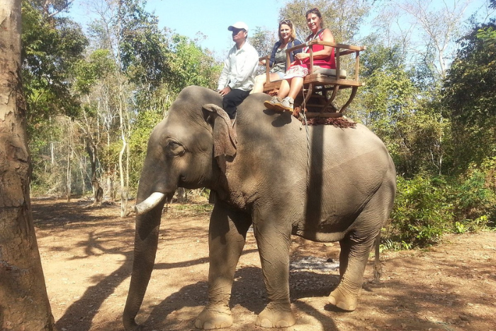 Vivez l’expérience des balades à dos d’éléphant – une activité passionnante lors de votre voyage à Ratanakiri