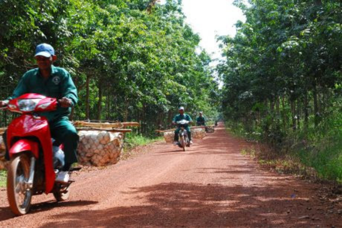 Le terrain de sol rouge caractéristique de la région de Ratanakiri, Cambodge