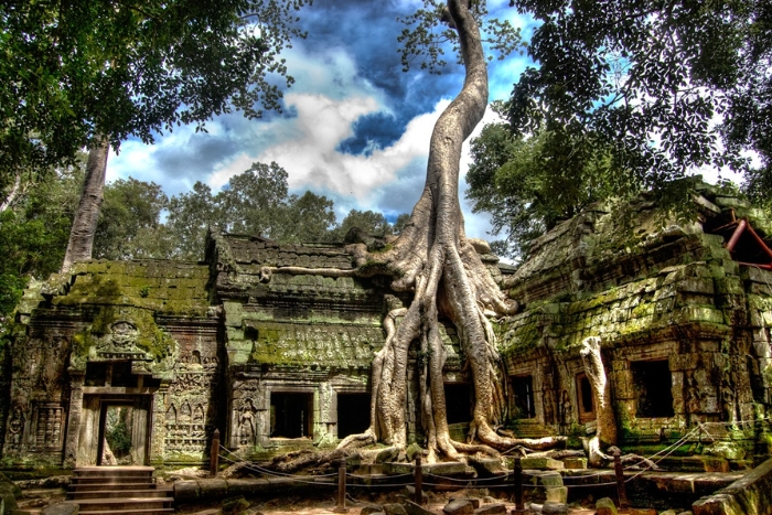 Visiter Ta Prohm, un temple envahi par les racines