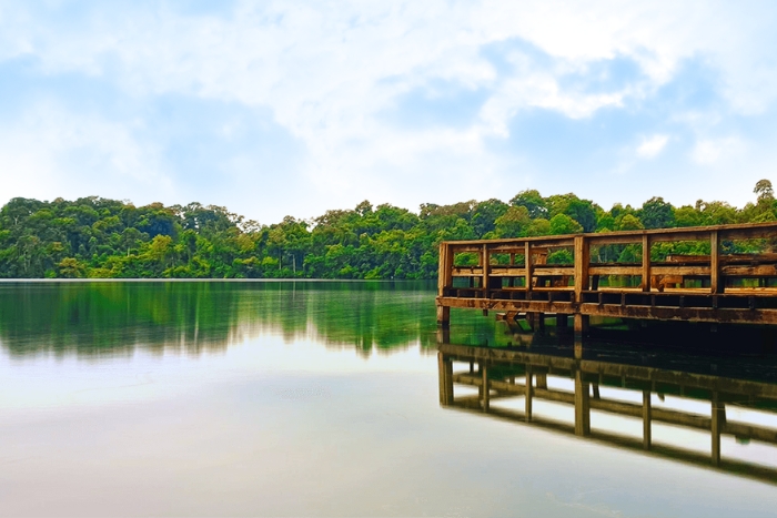 Pontons en bois sur le lac