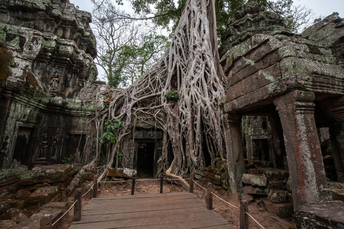  Ta Prohm, un temple emblématique envahi par la jungle