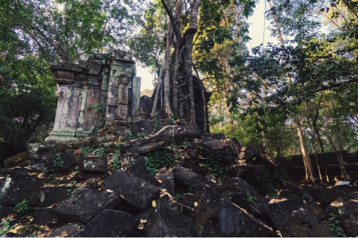 Beng Mealea, un temple perdu dans la jungle