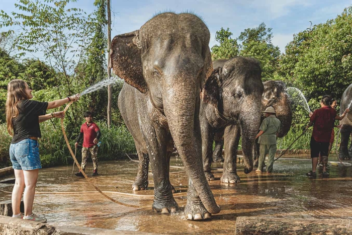 Kulen Elephant‎ Forest, un sanctuaire‎ éthique pour‎ les éléphants pour votre circuit Cambodge 2 semaines