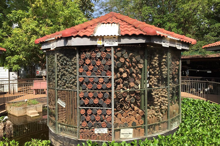 Musée Cambodgien des mines terrestres