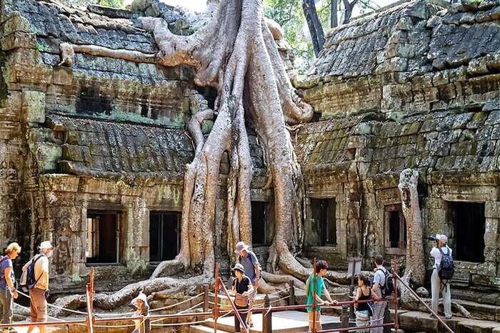 La zone de l'arbre Knia dans le temple de Ta Prohm