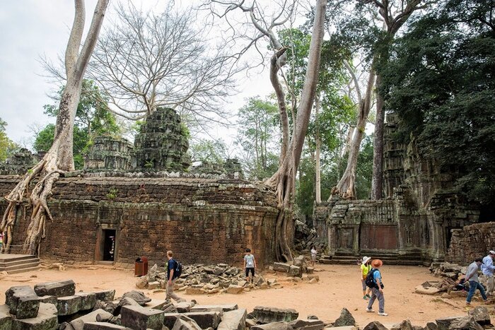 L'architecture unique du Ta Prohm au Cambodge