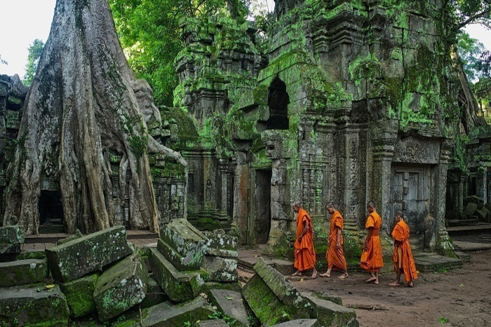 Temple de Ta Prohm dans le site d'Angkor au Cambodge 