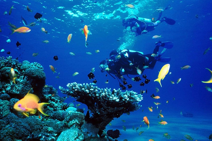&Agrave; Koh Rong, vous pourrez profiter de nombreuses activit&eacute;s nautiques passionnantes