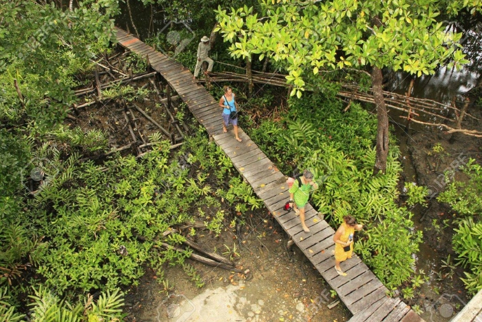 Explorez parc national de Ream, l’un des meilleurs choses à faire à Sihanoukville  