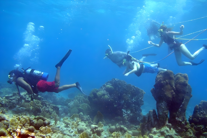 Explorer le monde océanique coloré de l'île de Koh Rong