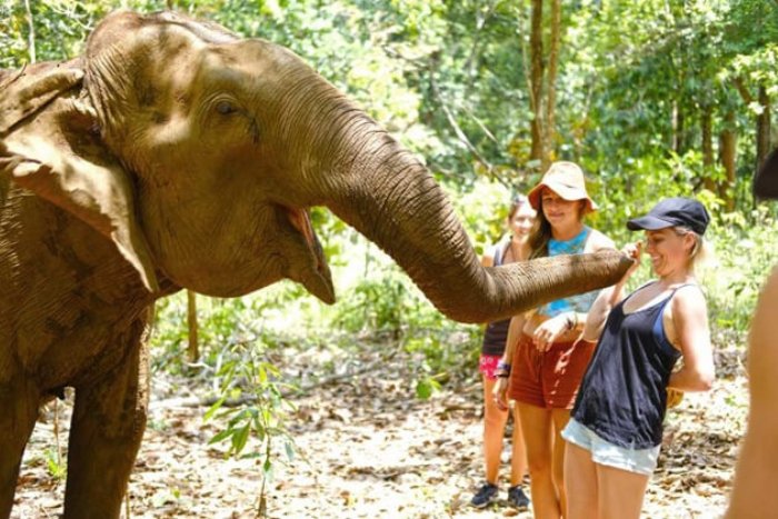 Mondulkiri est une destination id&eacute;ale pour &eacute;veiller l'amour de la nature chez les enfants