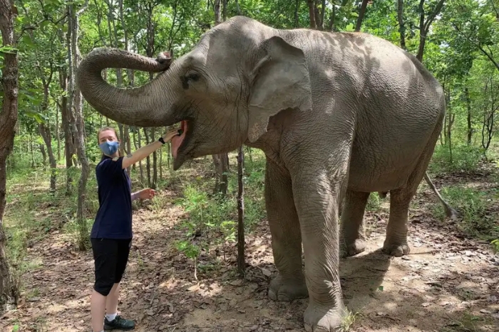 Centre de sauvetage de la faune sauvage de Phnom Tamao est la destination à la fin de l'itinéraire de 7 jours au Cambodge