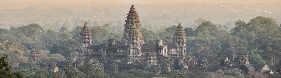 Respecter le r&egrave;glement pour voyager au Cambodge avec un animal (chien/chat) permet d&rsquo;&eacute;viter les complications &agrave; l&rsquo;arriv&eacute;e
