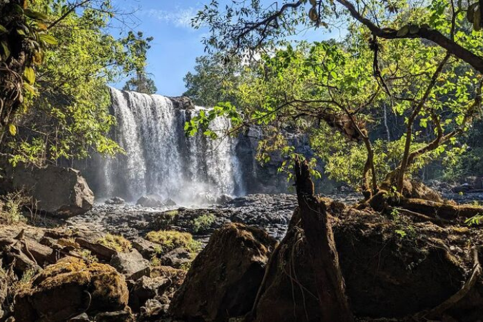 J’ai vraiment apprécié l’atmosphère paisible de cette forêt à Mondulkiri