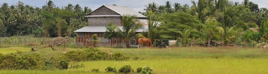 Quittez les grandes villes pour retrouver le calme des rizières