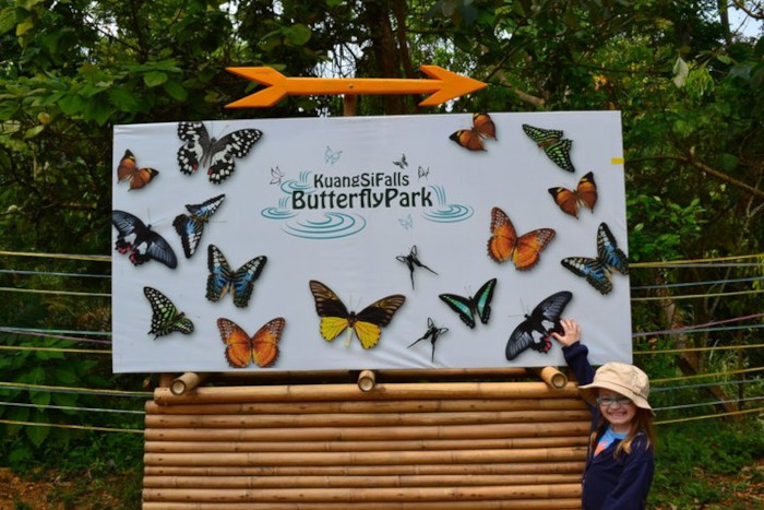 Découvrez la beauté du parc aux papillons de Kuang Si pendant vos 3 jours à Luang Prabang