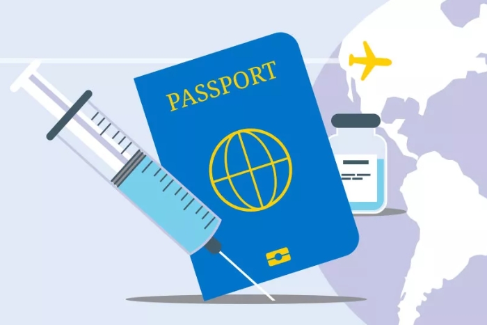 Vaccination avant le d&eacute;part