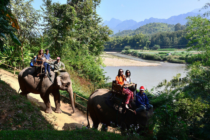 Touristes font une balade à dos d'éléphant au Village des Éléphants à Luang Prabang