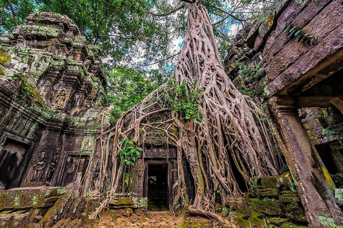 Découvrir une des sites emblématiques du Cambodge - temple de Ta Prohm