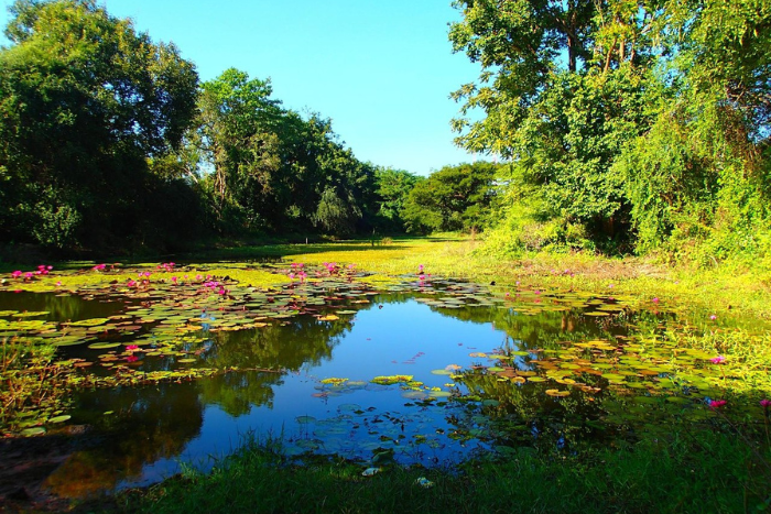 Visiter la province de Banteay Meanchey - une destination paisible pour se reposer au Cambodge