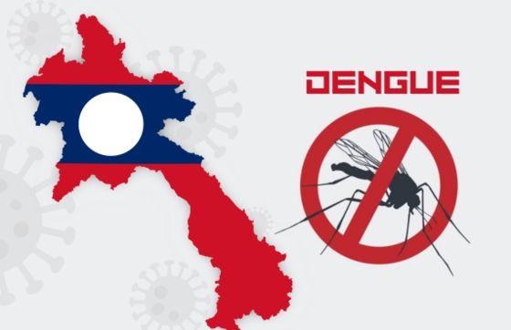 Moustiques Au Laos - Comment éviter La Dengue Au Laos ?