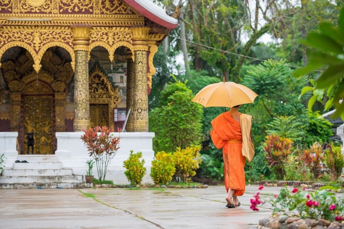 La saison des pluies au Laos, période la plus propice aux moustiques