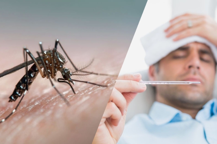 Reconnaître les premiers symptômes de la dengue au Laos