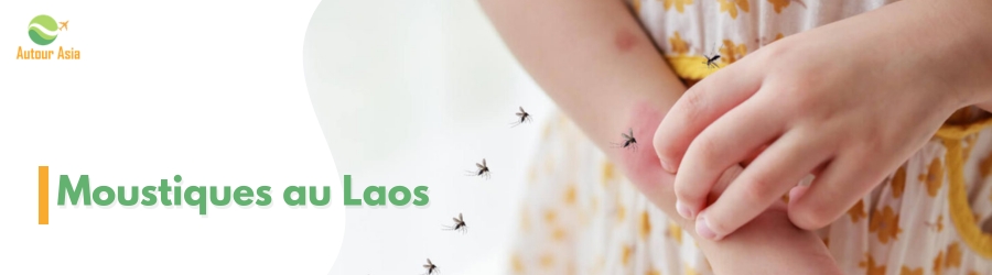 Moustiques au Laos - comment éviter la dengue ?