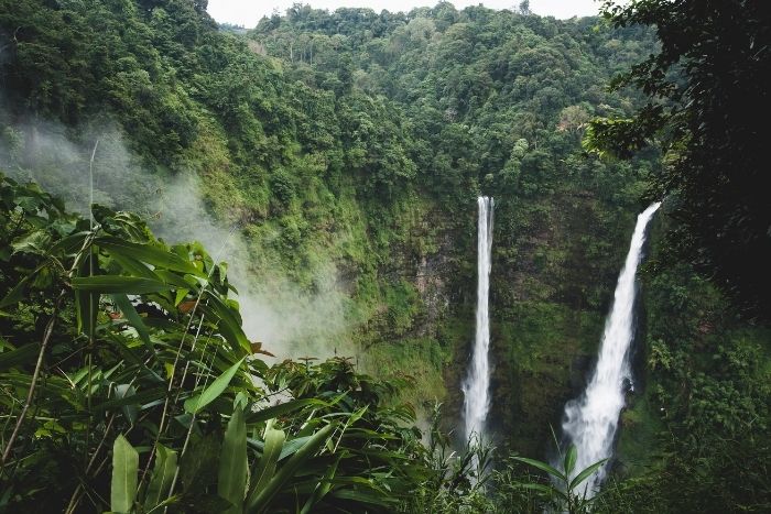 Tad Fane est l’une des cascades les plus spectaculaires du sud du Laos, entourée d’une jungle dense et préservée