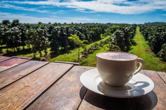 Le café des Bolovens, Pakse, Laos