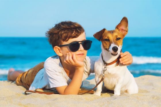 Que Faire Au Laos Avec Son Chien ? Que Faire Et Où Aller ?