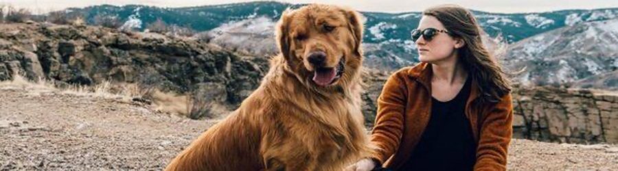 Que Faire Au Laos Avec Son Chien ? Que Faire Et O&ugrave; Aller ?