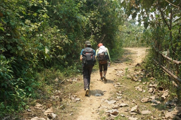 Où faire le trek au Laos? Vous pouvez faire une randonnée à Phongsaly