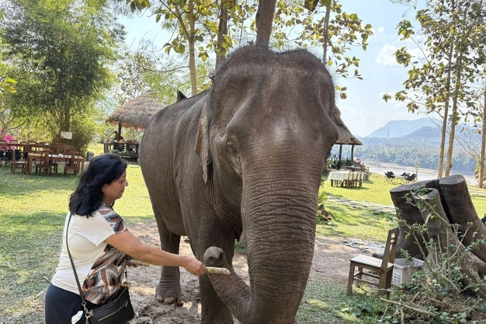 Discover Laos