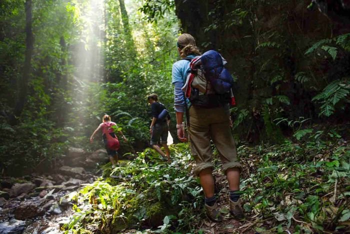 Préparez une paire de baskets si vous comptez faire un trek au Laos