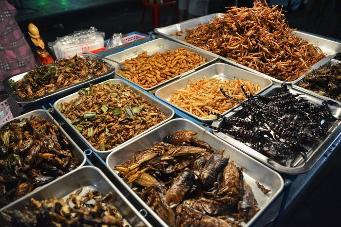Les plats d'insectes du Laos