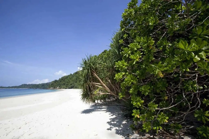 L’île de Lampi 