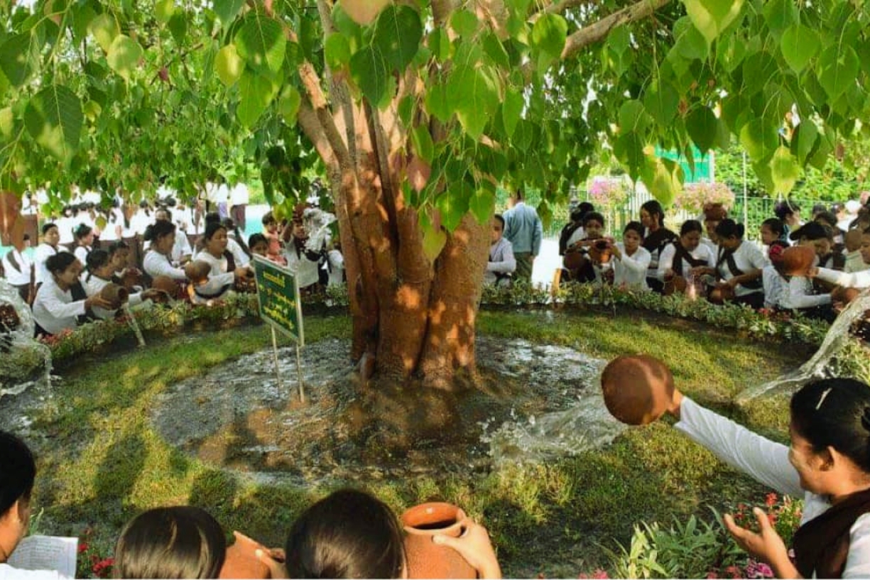 Que faire en Birmanie en mai ? Découvrir la Fête de l'arrosage de l'arbre de la Bodhi