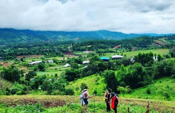 Quelle Est La Meilleure Agence Pour Le Circuit Agricole En Thaïlande ?
