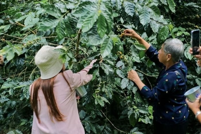 Asian Trails propose une immersion rurale à Rayong