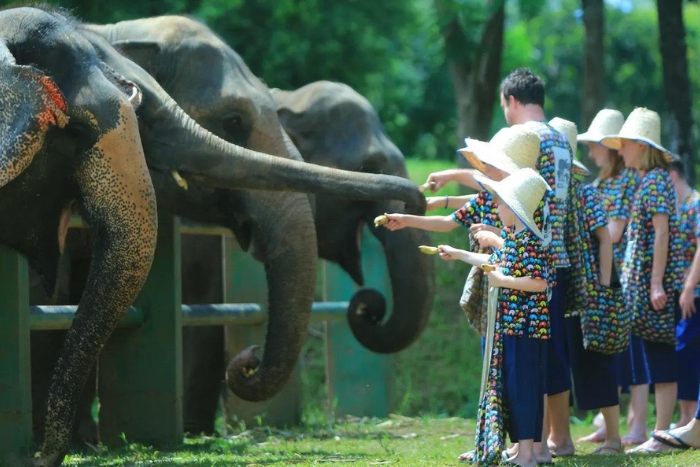 Soyez gentil avec les animaux lors de votre visite