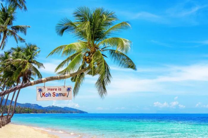 Les plages bord&eacute;es de cocotiers de Koh Samui