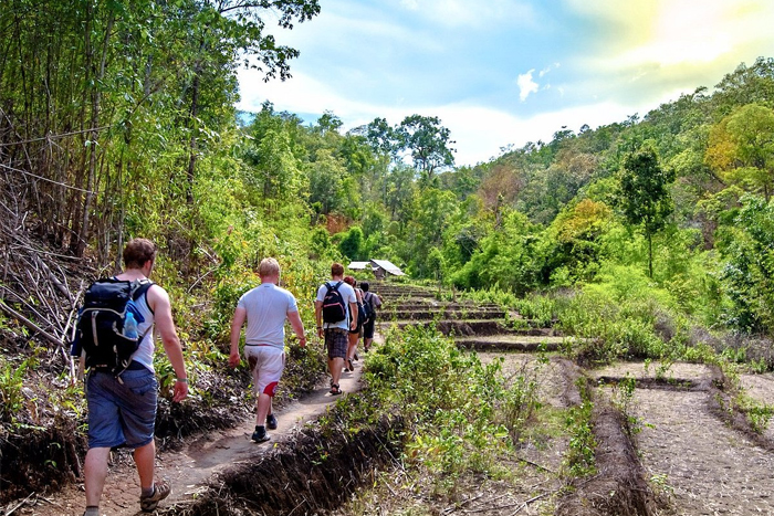 Que faire en Thaïlande en décembre ? Vivez la fraîcheur et les traditions à Chiang Mai