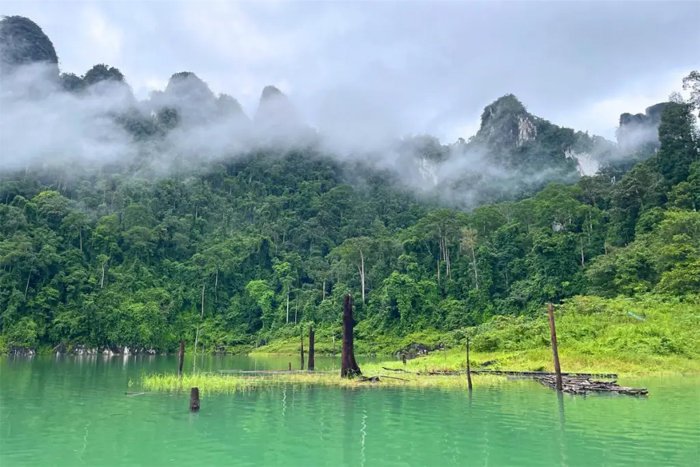 Parc National de Khao Sok