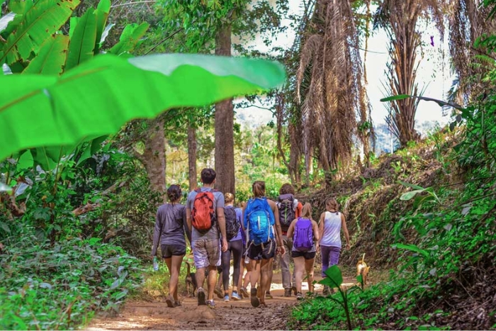 Randonnée au nord Thailande en octobre