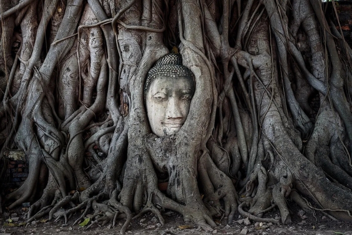 Wat Mahathat, Ayutthaya, Thailande