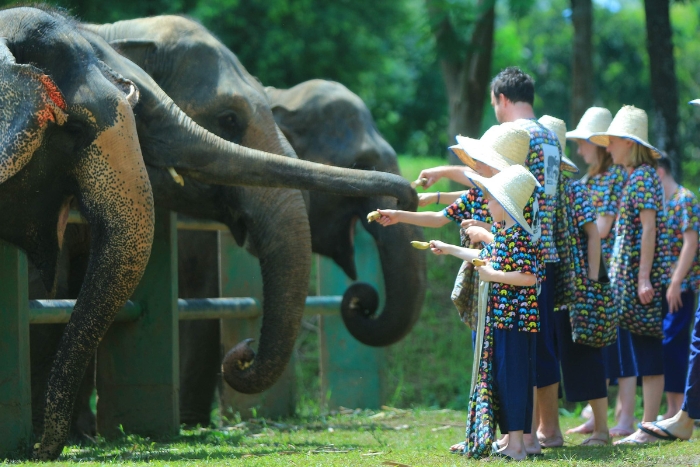 Kanta Elephant Sanctuary, des aventures éthiques avec les éléphants