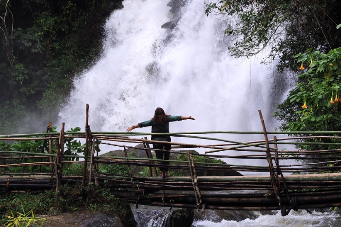 Que faire à Chiang Mai ? Faire une randonnée Pha Dok Siew