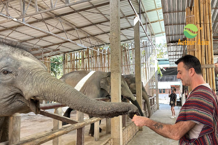 Bénéficiez de services uniques lors de votre voyage de 2 semaines en Thailande